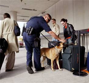 Description: Description: Description: C:\Users\mhfm\Desktop\Website Docs\E_Pictures\airport_security.jpg