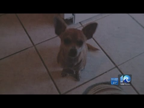 2 minute video: The family who sued PETA after they took their dog and ...